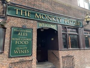 Front Monkey Puzzle pub